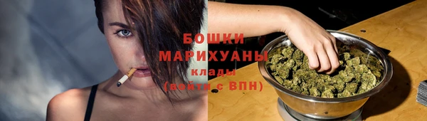 ГАЛЛЮЦИНОГЕННЫЕ ГРИБЫ Алзамай