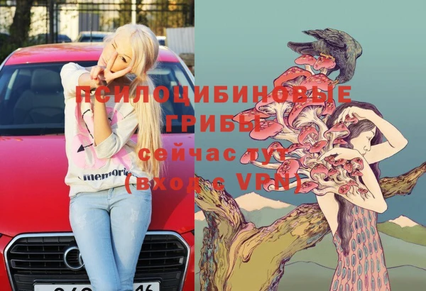 ГАЛЛЮЦИНОГЕННЫЕ ГРИБЫ Алзамай