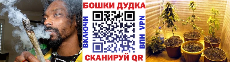 OMG ONION  Ковылкино  МАРИХУАНА ГИДРОПОН 